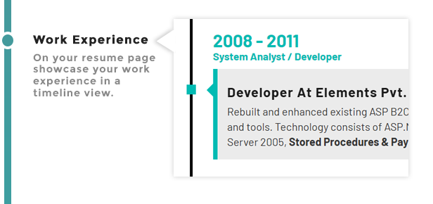 Work Experience Timeline