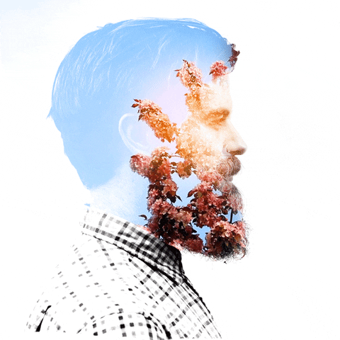 Animated Double Exposure Photoshop Action - 8