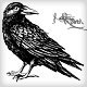raven drawing