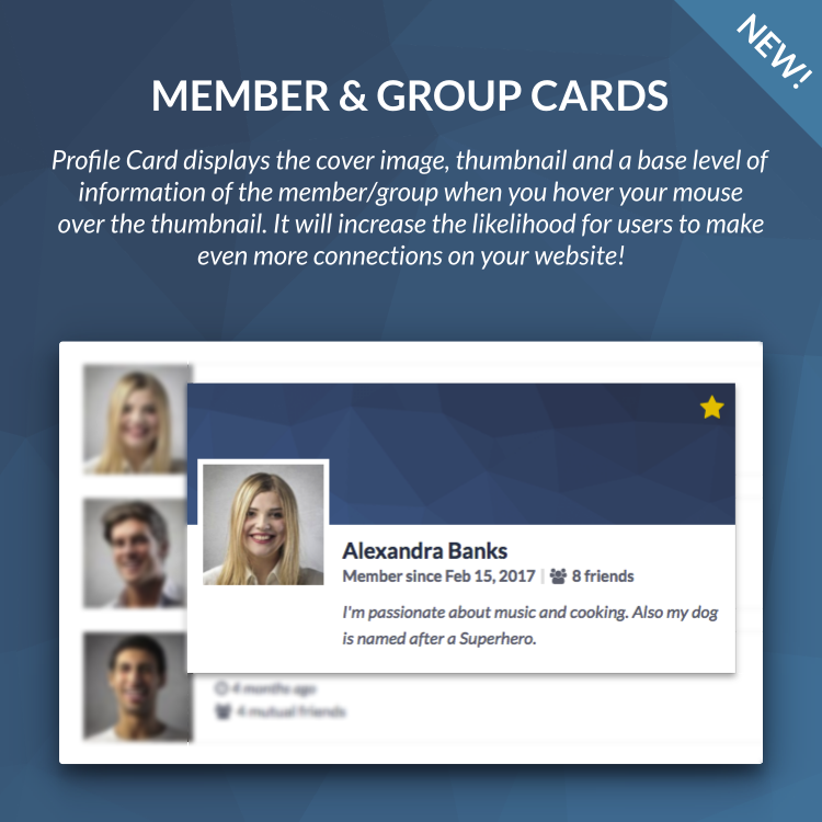 wordpress profile cards