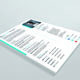 1 Page Resume