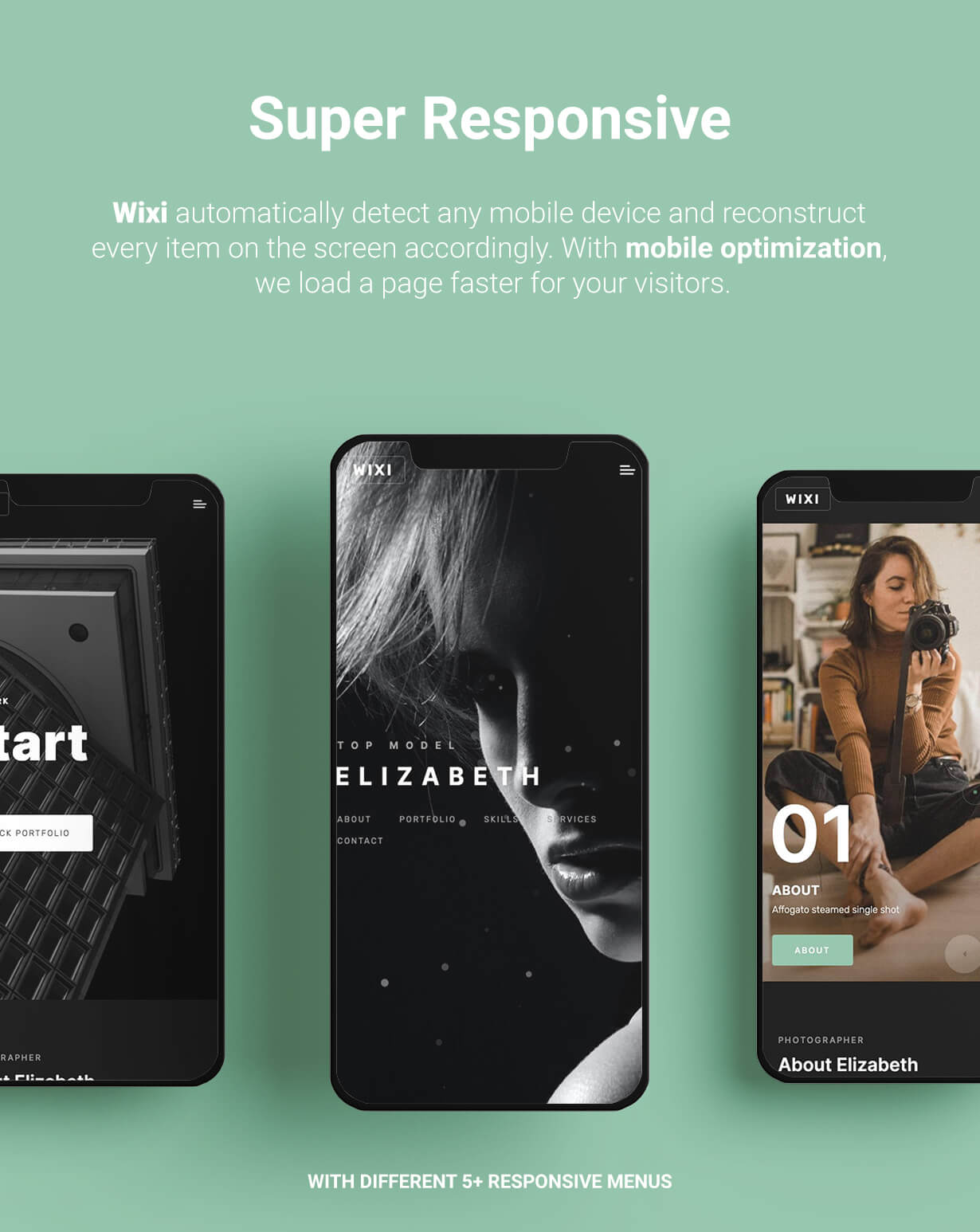 WordPress Responsive Creative Themes from Ninetheme