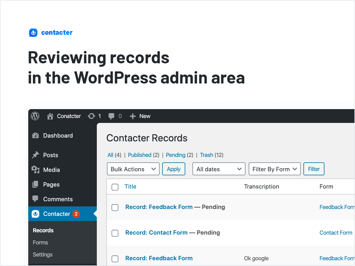 Reviewing records in the WordPress admin area