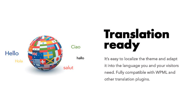 Diginex is translation ready