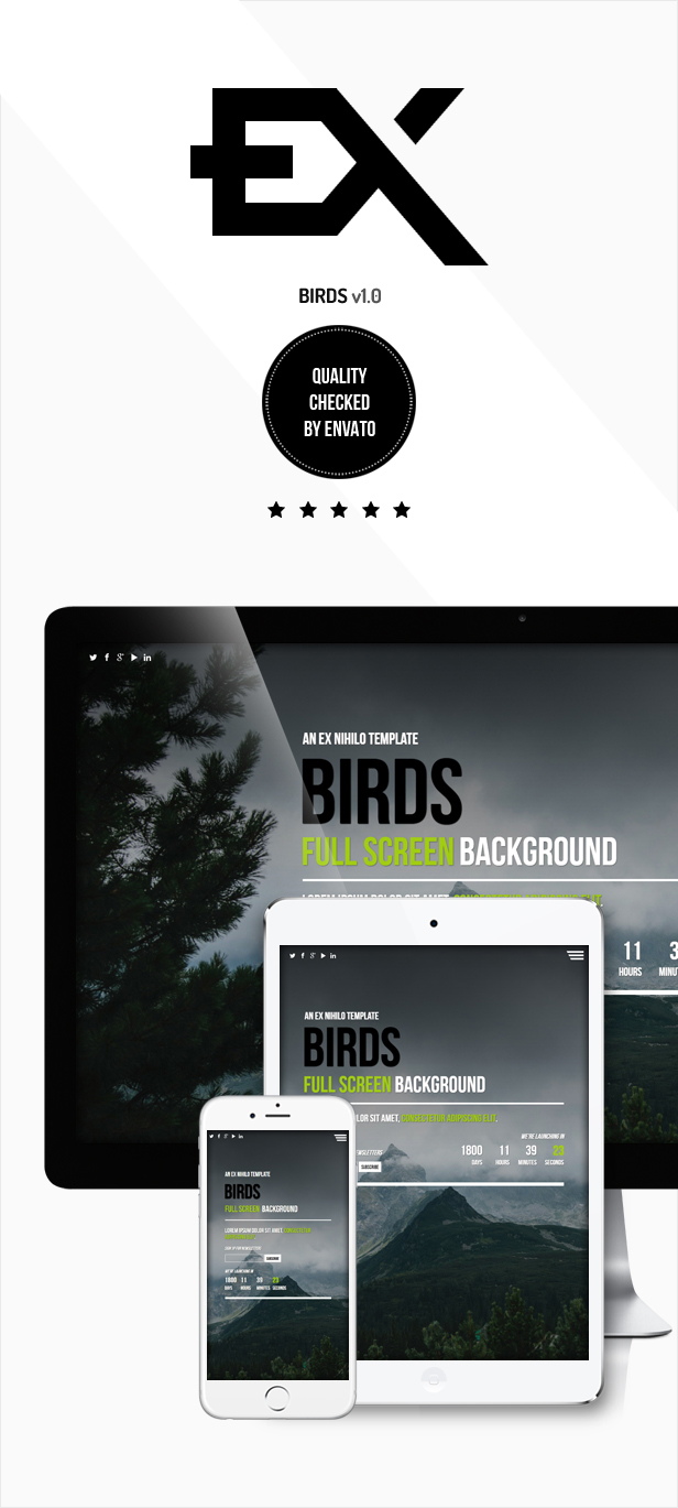 Birds