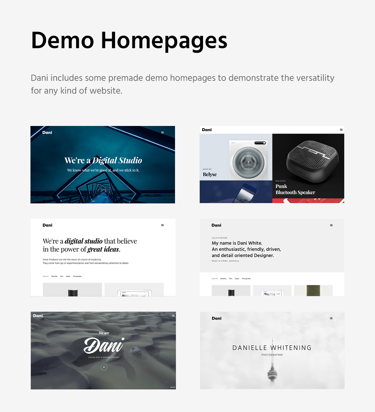 Dani - A Storming Portfolio & Blog template - 8