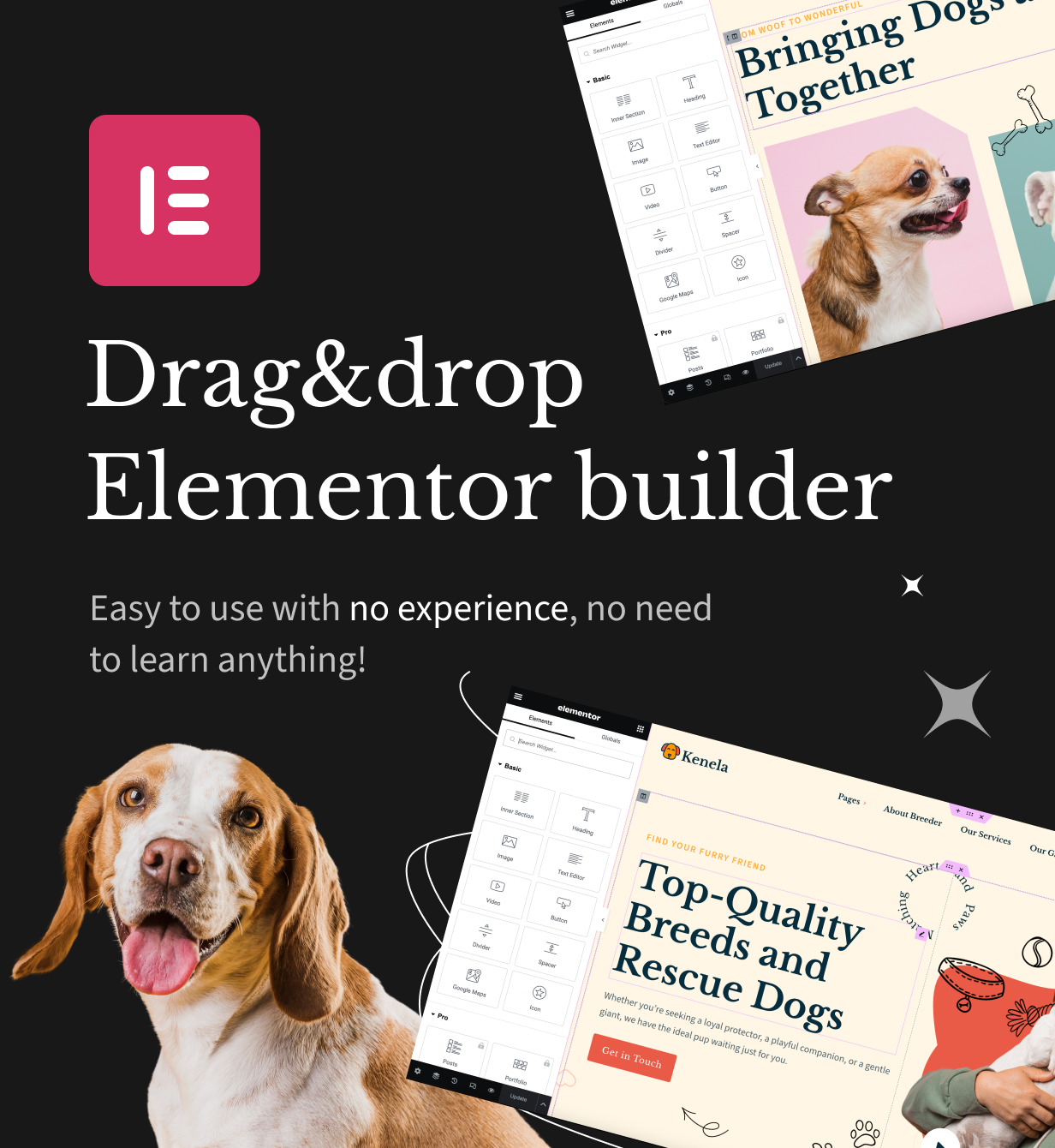Kenela - Dog Breeder & Adoption WordPress Theme
