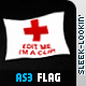 AS3 Flag