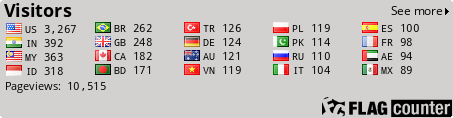 Flag Counter