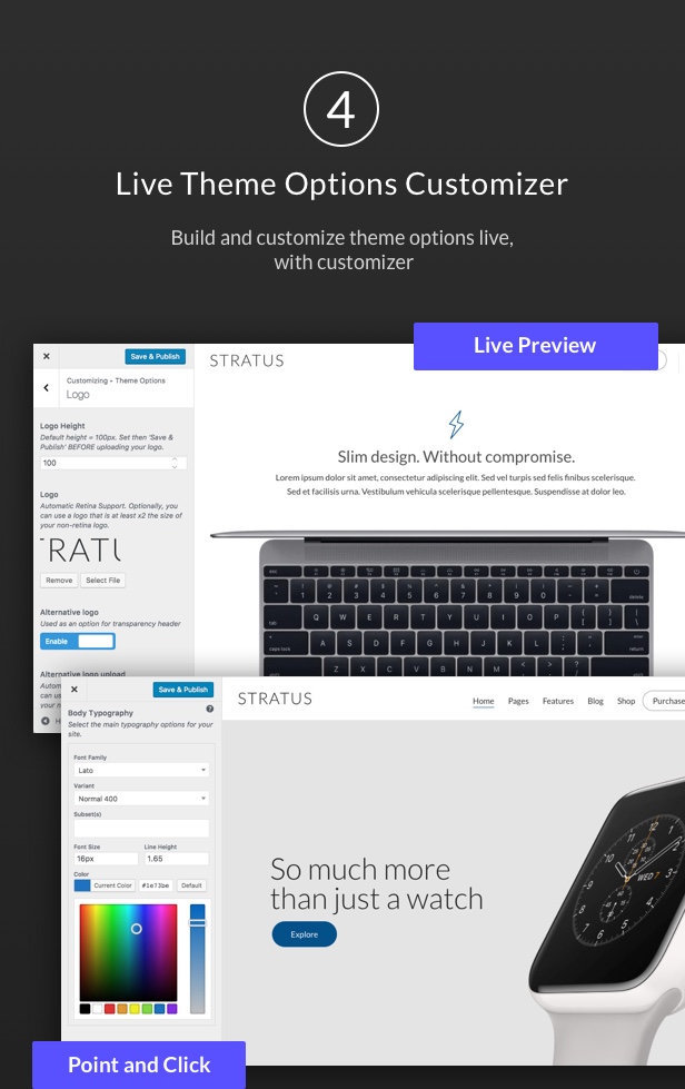 Live Theme Options Customizer