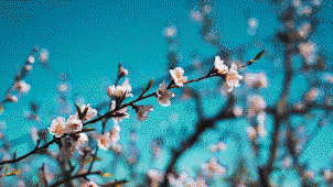 Basic Grid Transitions - 9