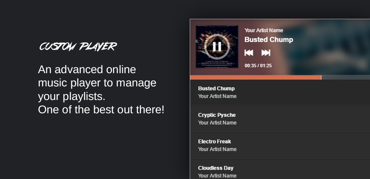 custom player playlist manager