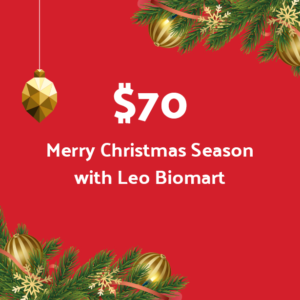 Leo Biomart Gifts Prestashop Theme For Christmas