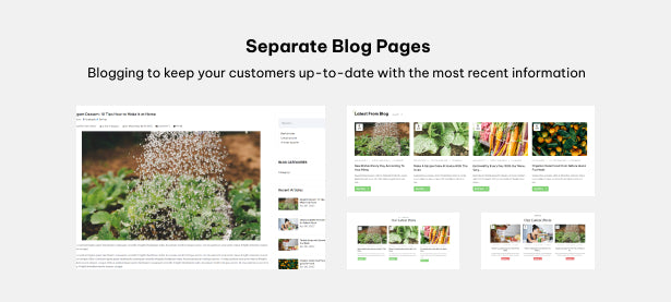 Separate Blog Pages