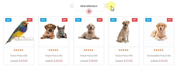 VG Petshop - Creative WooCommerce theme for Pets and Vets - 29