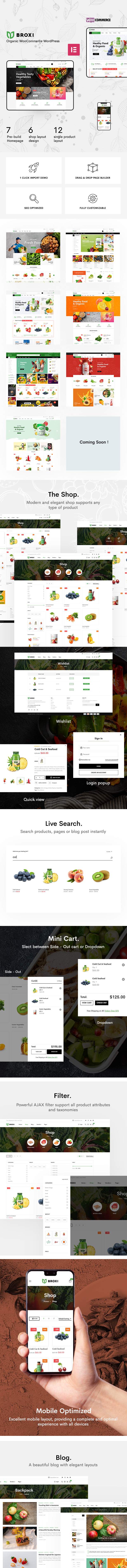 Broxi – Organic & Food WooCommerce WordPress Theme - 1