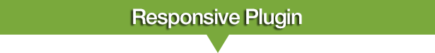 WooCommerce Quick Order One Page Shop - 11