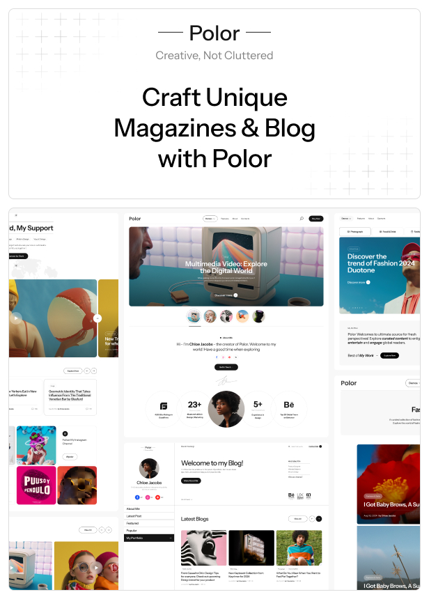 Polor – Personal Blog WP Theme