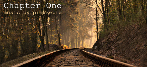 pinkzebra