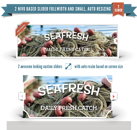 Delimondo Seafresh Fully Responsive HTML Template - 9