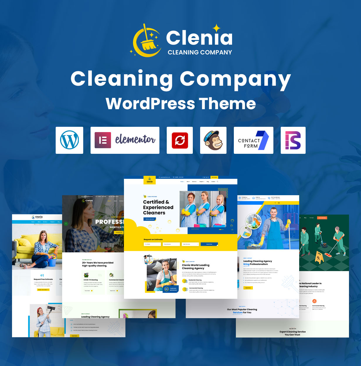 Clenia - Cleaning Services WordPress Theme - 4
