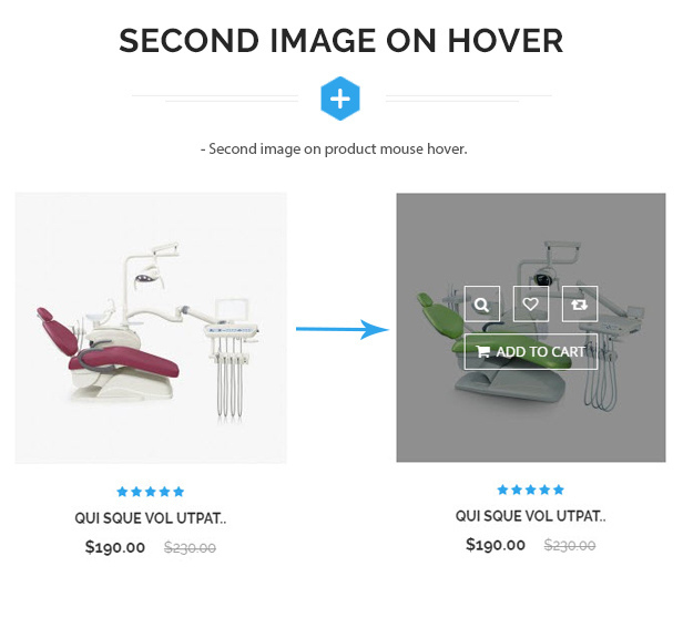 des_13_hover_images
