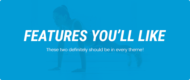 fitness wp theme