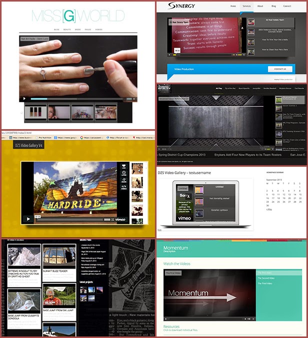 Video Gallery WordPress Plugin /w YouTube, Vimeo, Facebook pages - 9