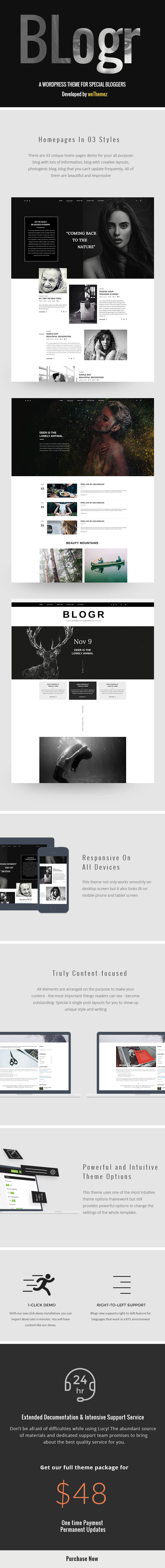 BLOGR WP Theme