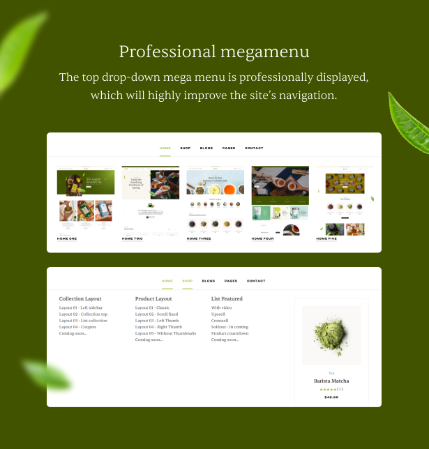 Professional megamenu