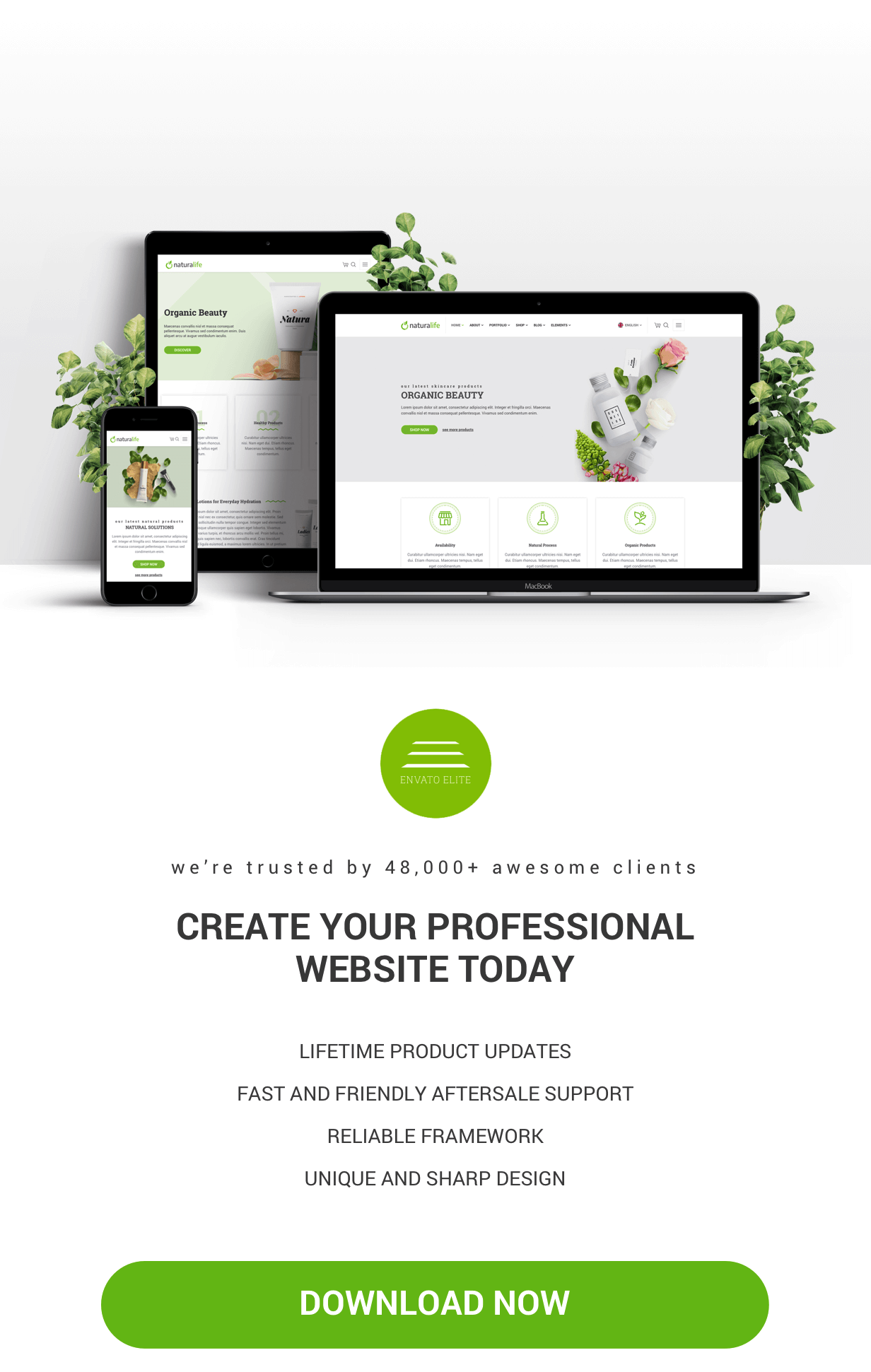 NaturaLife | Health & Organic WordPress Theme - 5