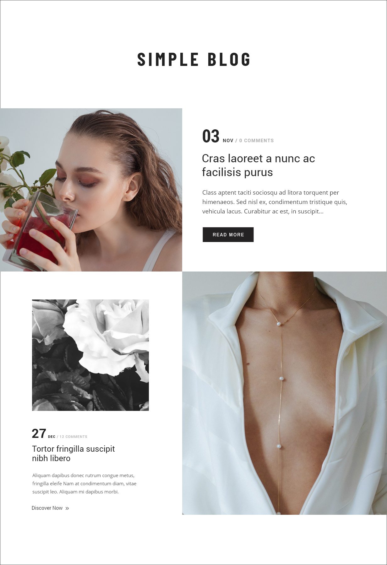 Blog of Premium Prestashop 9 AMP Theme