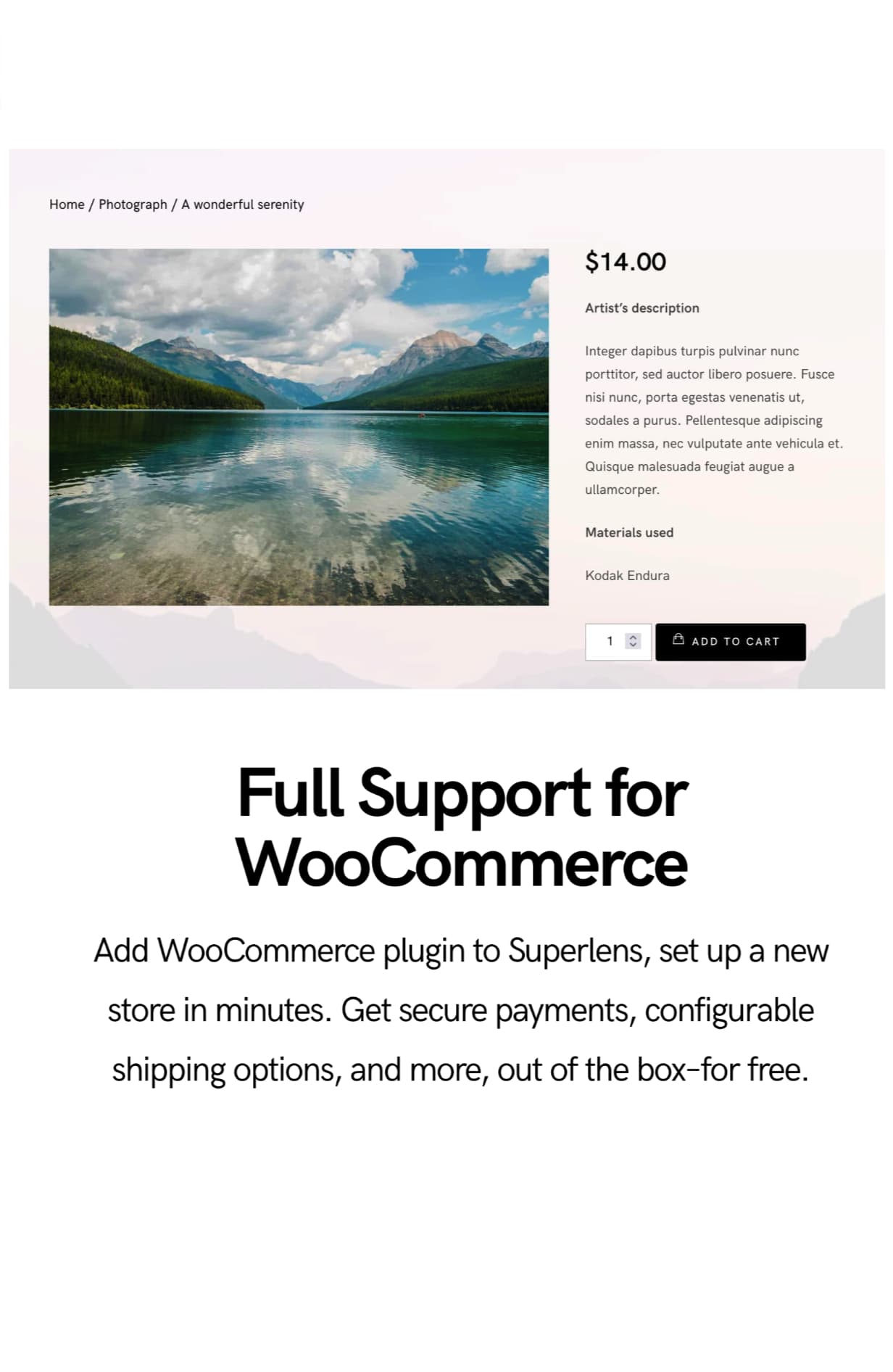 Superlens | Photography Theme for WordPress - 8