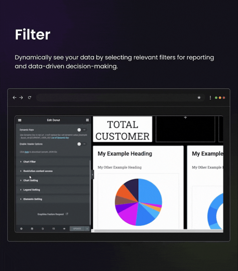 Graphina Pro - Elementor Dynamic Charts, Graphs, & Datatables - 41