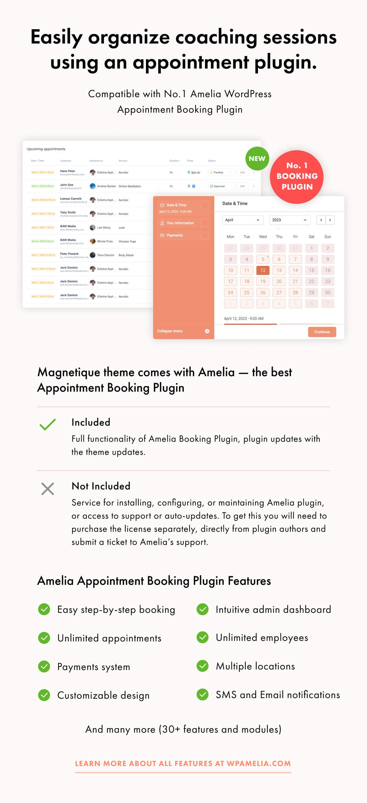 Magnetique — Coaching Online Courses WordPress