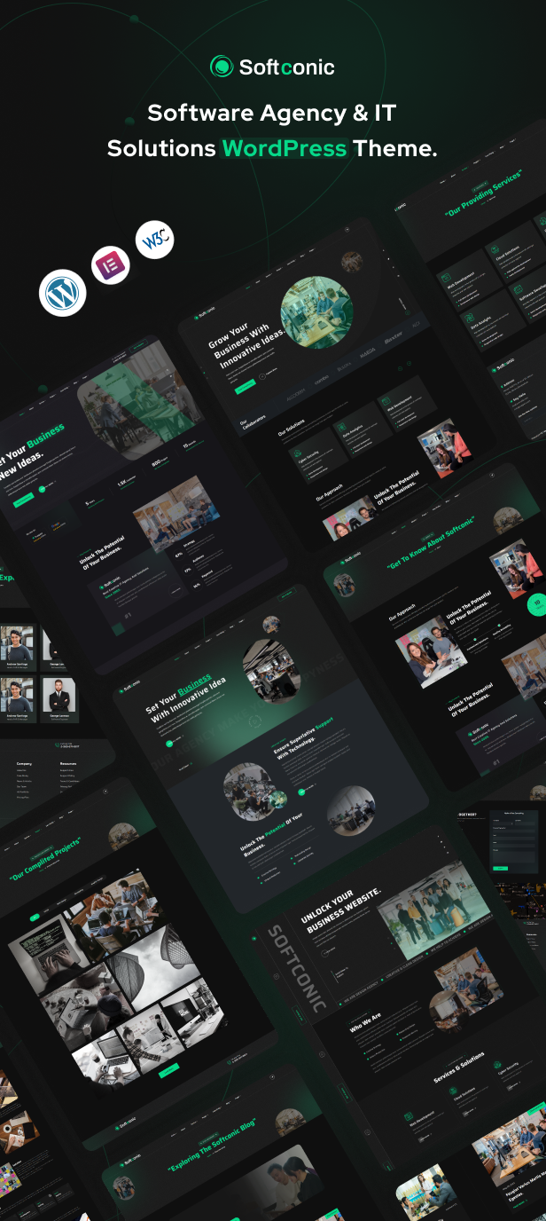 Softconic - Software and IT Solutions WordPress Theme - 2