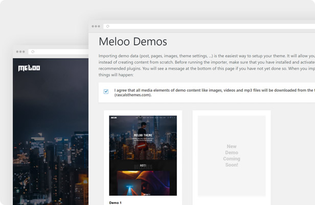 Meloo WordPress Theme - One Click Demo Import