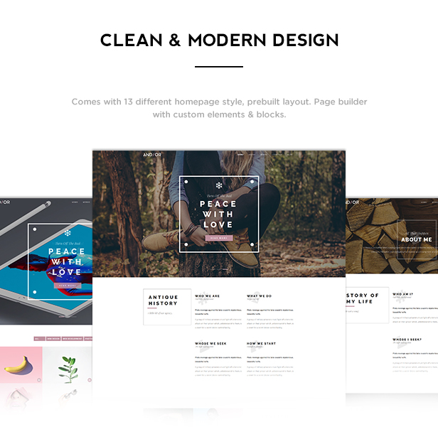 Andier - Responsive One & Multi Page Portfolio Theme - 1