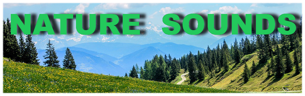 Nature-Sounds