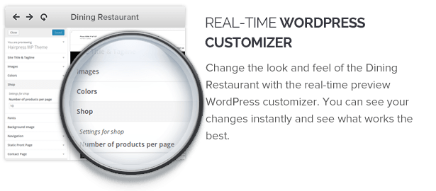 Real Time Wordpress Customizer