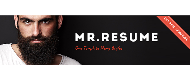 Mr Resume HTML Template