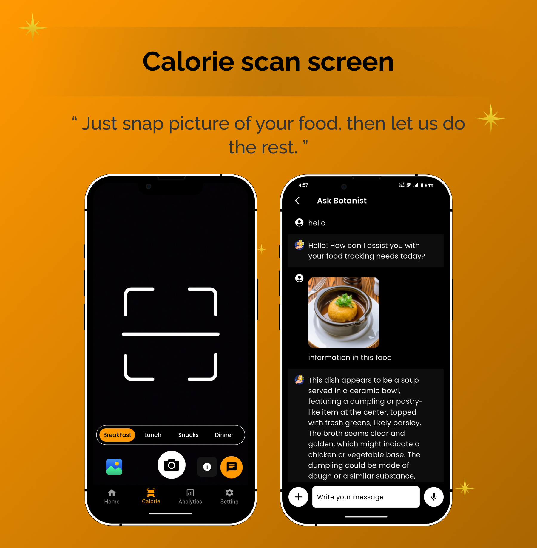 Cal  AI  Pulse | Calorie & Food Tracker | Flutter Android/iOS Full Application | Premium Plans - 6