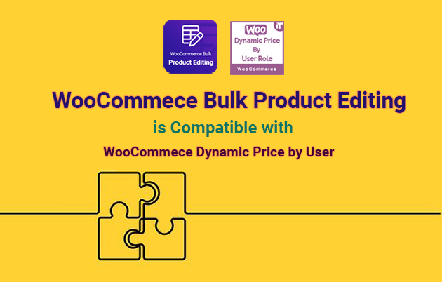 Woocommerce Dynamic Pricing By User Role - 2