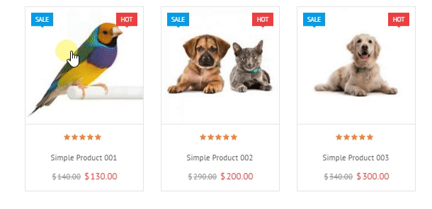 VG Petshop - Creative WooCommerce theme for Pets and Vets - 31