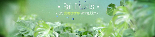 The Rainforests Titles After Effects Templates