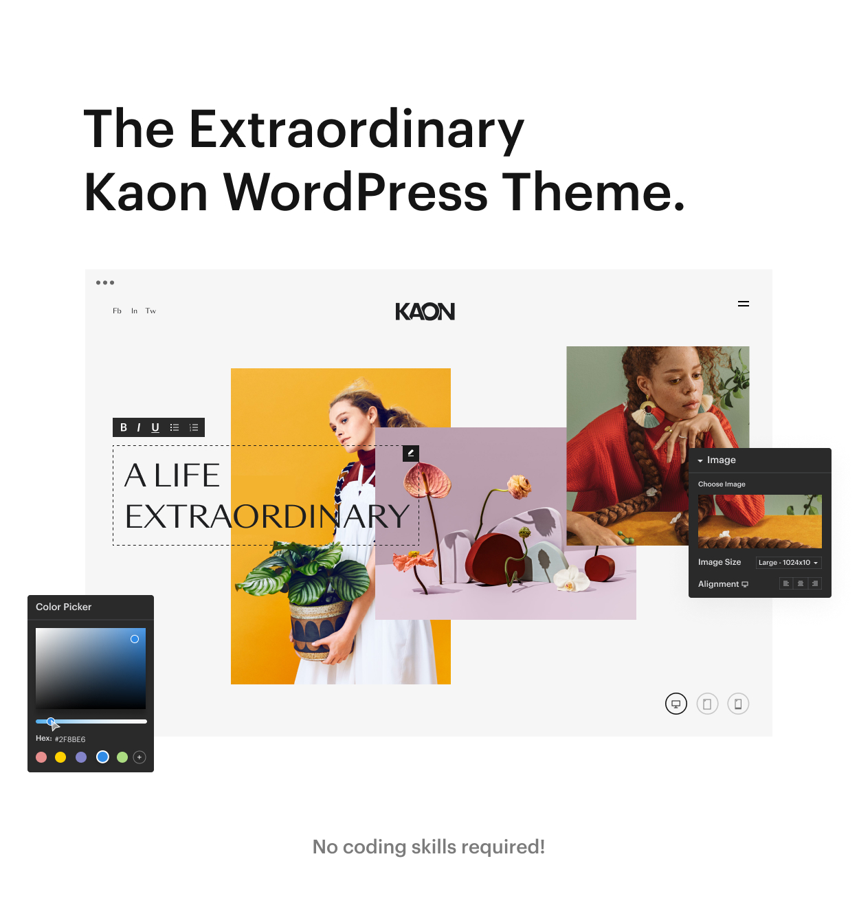 Kaon WordPress Theme - Intro