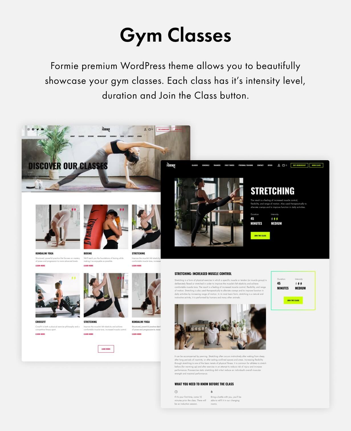 Formie WordPress Theme Presentation Image
