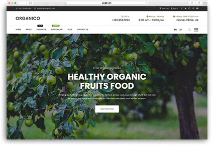 Jollyany | Multi-Purpose Joomla 5 Template
