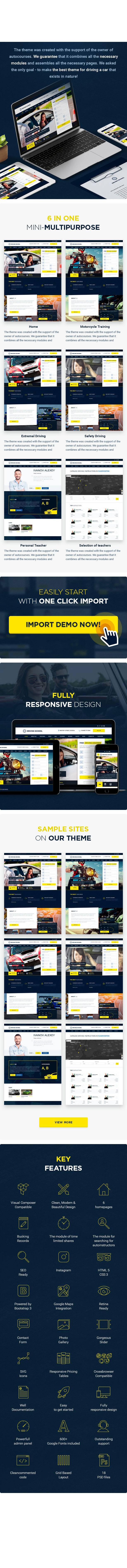 Driving School - WordPress Theme - 1