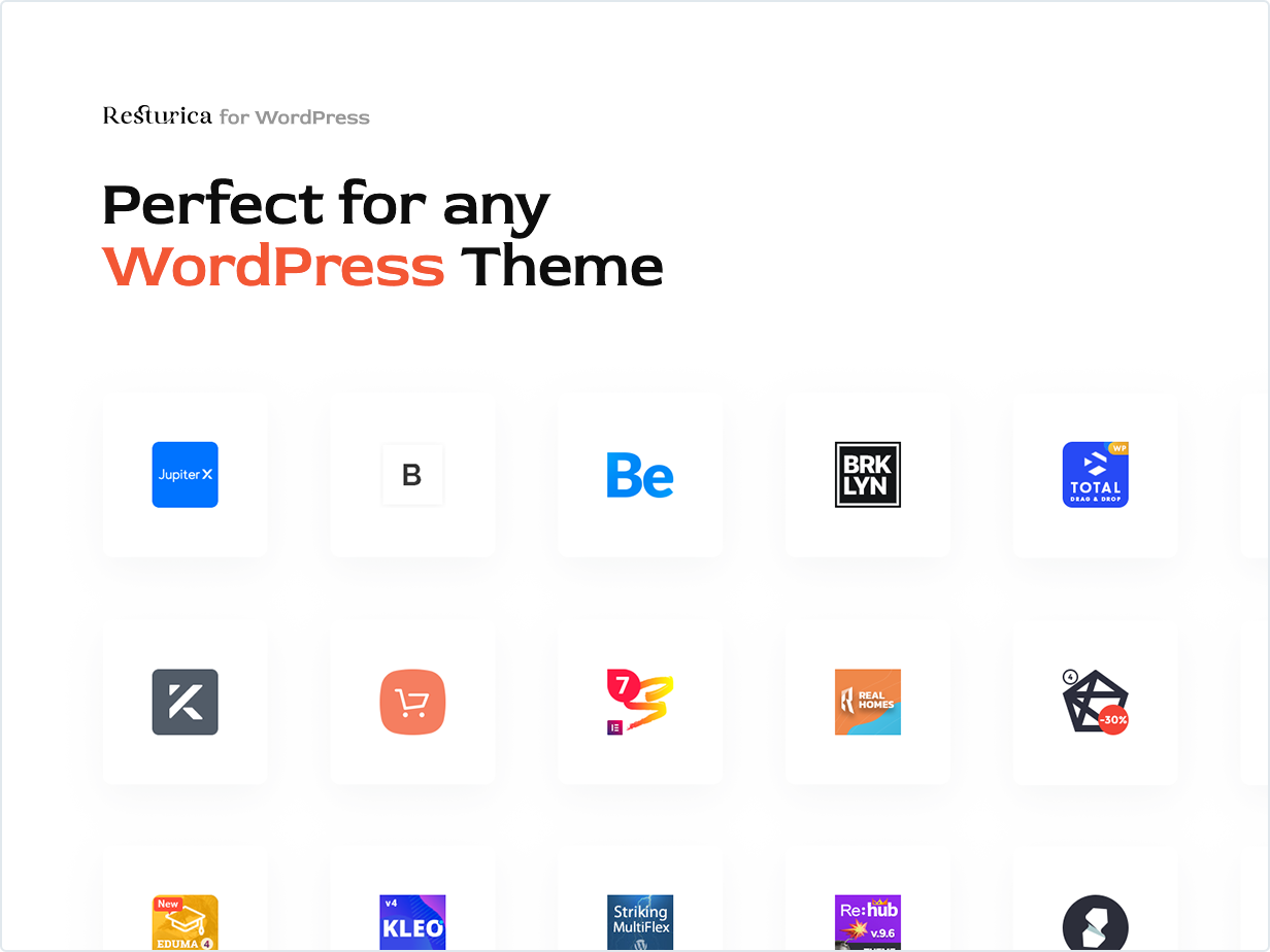 Perfect for any WordPress Theme
